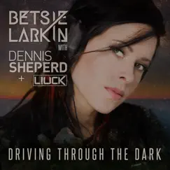 Driving Through the Dark - Single by Betsie Larkin, Dennis Sheperd & Liuck album reviews, ratings, credits