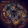 Atacama - Star Sky