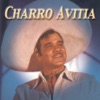 Charro Avitia, 2003