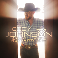 Cody Johnson - Dear Rodeo artwork