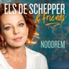 Noodrem - Single