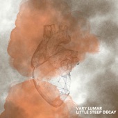 Vary Lumar - Blinking Light