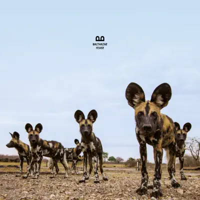 Fever - Balthazar Fever - Balthazar