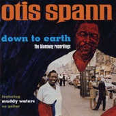 Down to Earth: The Bluesway Recordings (feat. Muddy Waters) artwork