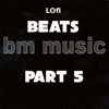 Lofi Beats Bm Music, Pt. 5