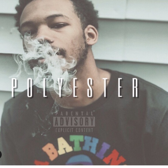 Cover artwork for Polyester