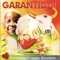 A Mística do Pajé - Boi Bumba Garantido lyrics