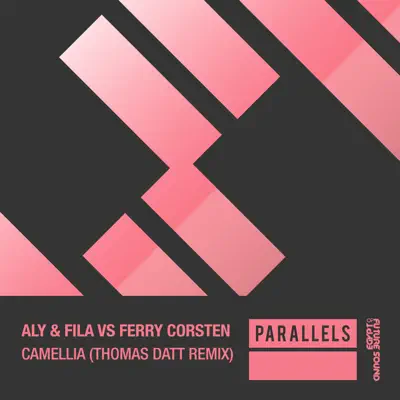 Camellia (Thomas Datt Remix) [Aly & Fila vs. Ferry Corsten] - Single - Ferry Corsten