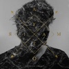 Bertrand Cantat - L’Angleterre