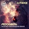 Pedogbepa (Hallex M & Sunlightsquare Afro Remix) - DJ Fudge lyrics