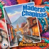 Mosaico 2018. Música de Guatemala para los Latinos