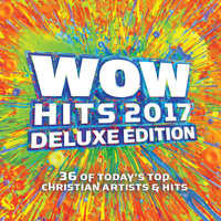 Various Artists - Wow Hits 2017 (Deluxe Edition) artwork