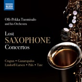 Saxophone Concerto artwork