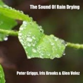 Sound of Rain Drying artwork