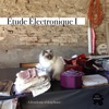 Étude Électronique I - A French Way of Deep House