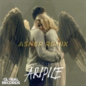 Aripile (DJ Asher Remix) artwork