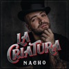 Báilame - Remix by Nacho iTunes Track 3