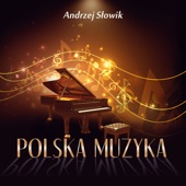 Polska Muzyka artwork