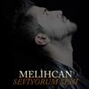 Seviyorum Seni - Single