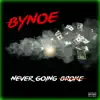 Never Going Broke - Single album lyrics, reviews, download