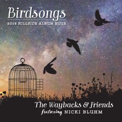 Birdsongs (feat. Nicki Bluhm)