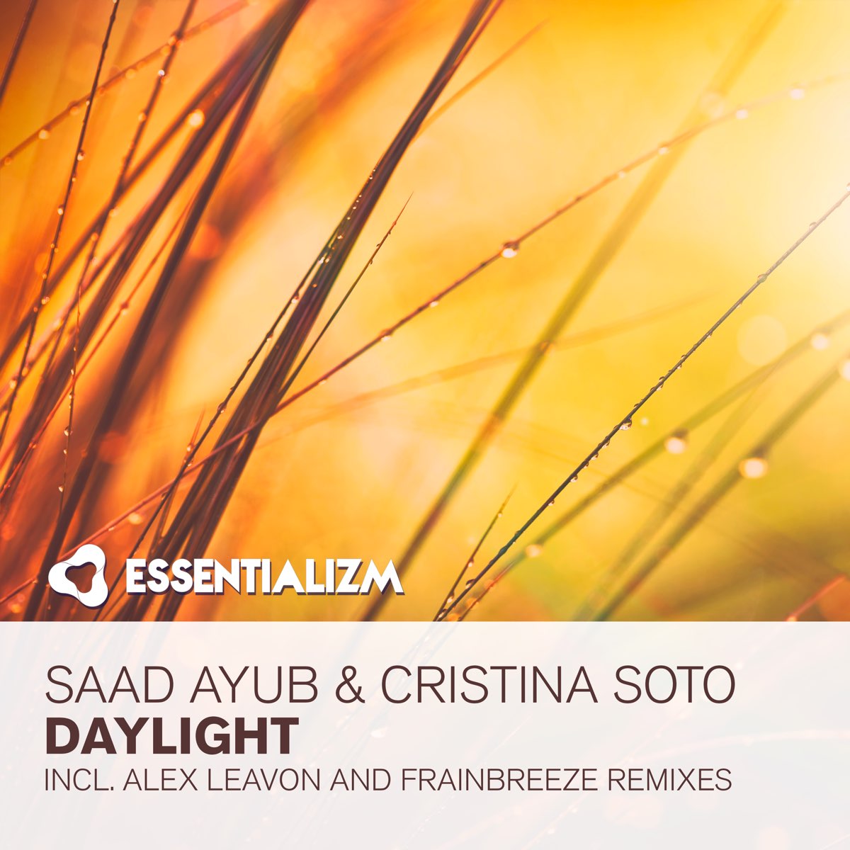 Daylight remix. Alex Leavon Beyond the clouds (Remix). Hope - AUTODJ: Saad Ayub feat. Cristina Soto shedona re Remix.