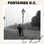 FONTAINES D.C. - The Cuckoo Is a-Callin'