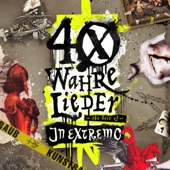 40 wahre Lieder - The Best Of artwork