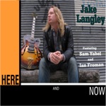 Jake Langley, Ian Froman & Sam Yahel - Here and Now