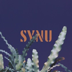 Mikromusic - Synu