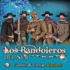 Cumbias y Corridos Rancheros, 2017