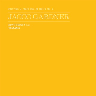 Cabinet Of Curiosities By Jacco Gardner On Apple Music