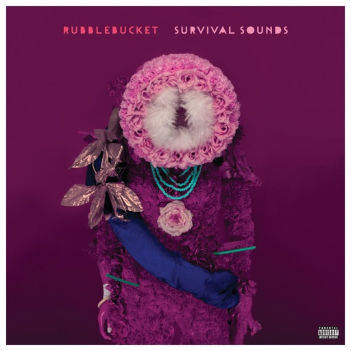 Album art for Rubblebucket - Carousel Ride