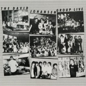 The David Johansen Group - I Found a Love (Live Version)
