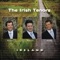 Beautiful Dreamer - The Irish Tenors lyrics