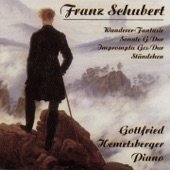 Schwanengesang, D. 957: No. 4, Ständchen (Arr. for Piano Solo by Franz Liszt) artwork