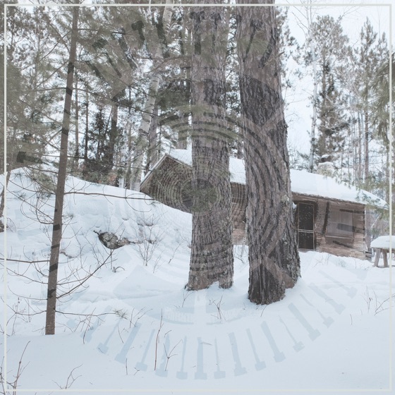 Cover artwork for A Ridge Where the Tall Pines Once Stood