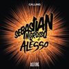 Sebastian Ingrosso - Calling
