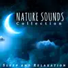 Nature Sounds Collection: Sleep and Relaxation, Nature Sounds, Water Sounds, Guitar & Piano Music, New Age Meditation Music album lyrics, reviews, download