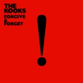 The Kooks - She Don't Love You