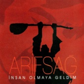 İnsan Olmaya Geldim artwork