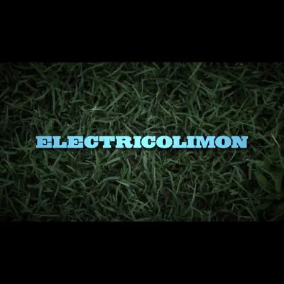 Girls Just Wanna Have Fun - Single - Electrico Limon