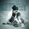 Invisible (Remixes) album lyrics, reviews, download