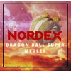 Dragon Ball Super Medley: Chouzetsu Dynamic / Limit Break X Survivor (feat. Ricardo Cruz & Kai Urusai) - Single