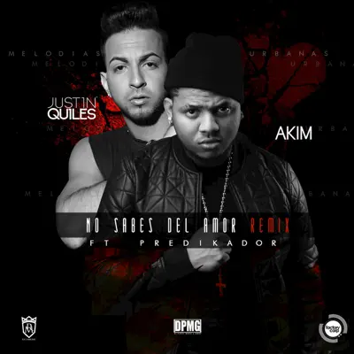 No Sabes del Amor (Remix) [feat. Predikador] - Single - Justin Quiles