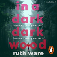 Ruth Ware - In a Dark, Dark Wood artwork