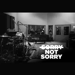 Sorry Not Sorry Song Lyrics