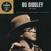 Bo Diddley - I'm Looking For A Woman