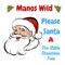 The Little Christmas Tree - Manos Wild lyrics