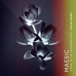 Maesic - There In the Morning (feat. Lucas Marx)